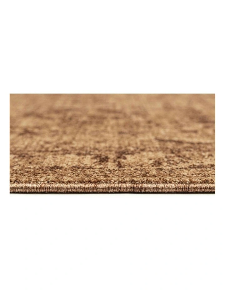 Serron Tonal Traditional Rug in Brown image 6