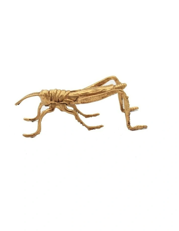 Grasshopper Sculpture 14x5.5x5cm in Gold image 2