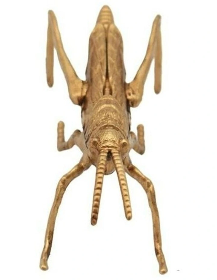 Grasshopper Sculpture 14x5.5x5cm in Gold image 4