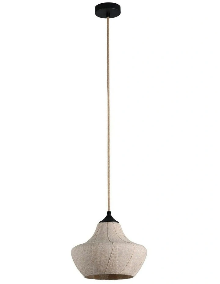 Winslow Pendant Light in Wine Grass image 1