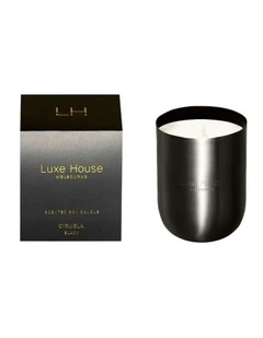 Ciruela Luxury Midi Candle