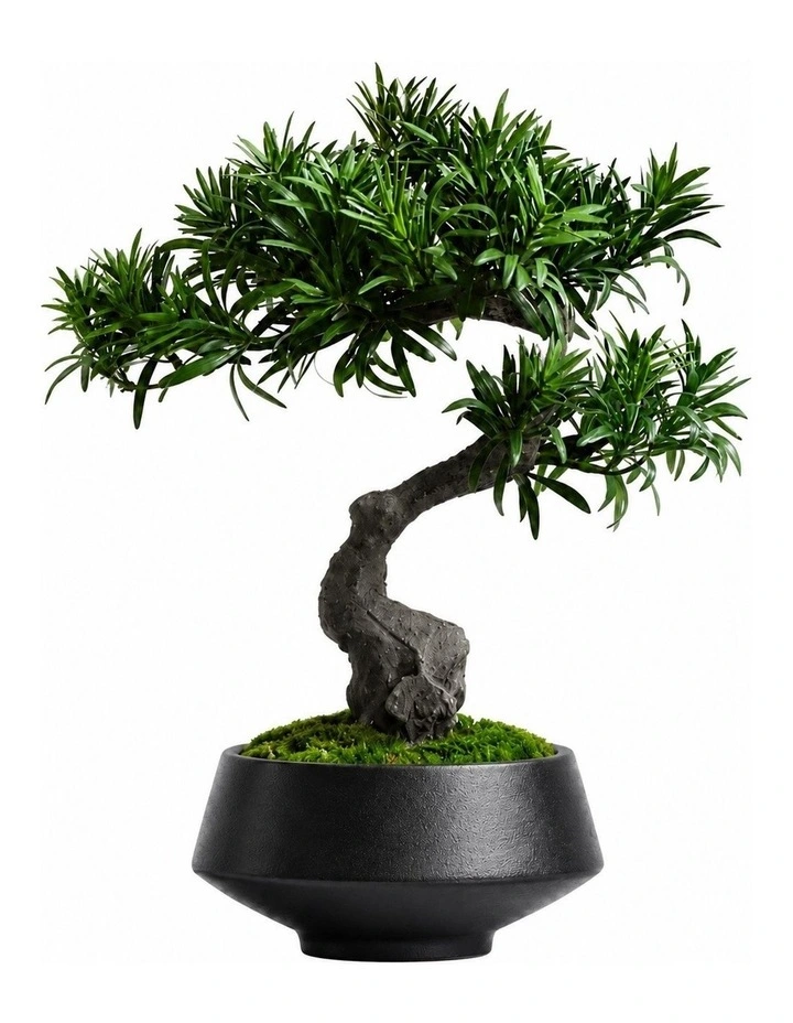 Artificial Desktop Buddhist Pine Bonsai Decor W30H35cm in Multi image 1