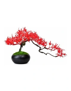 Maple Bonsai Artificial Desktop Decor 45x22cm in Red