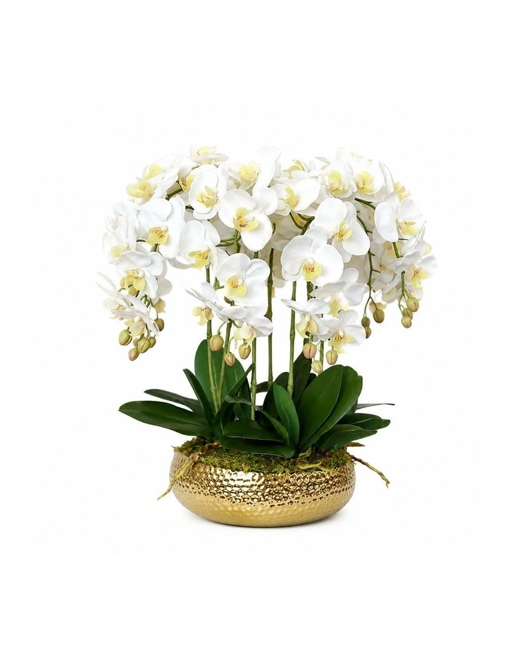 Bespoke Luxury Real Touch 8-Stem Phalaenopsis Orchid Arrangement 45x57CM in White image 1