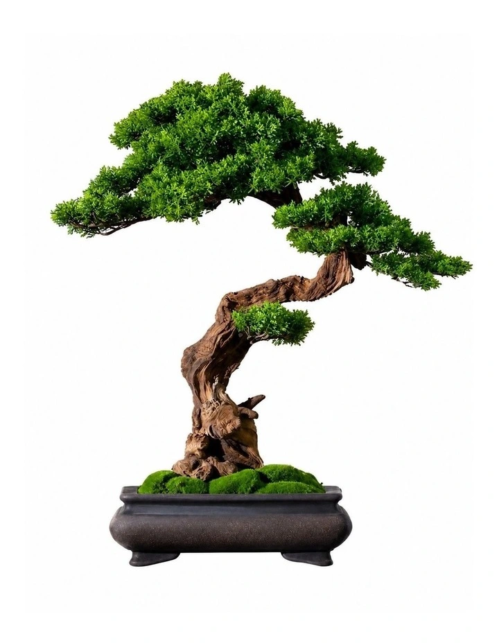 Bespoke Natural Wood Bonsai Art 59x25x65cm in Green image 1