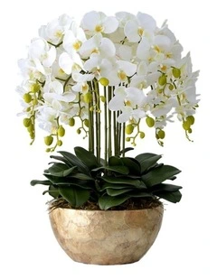 Bespoke Luxury Floral Design Gold Shell-Finish Planter with 18 Stem Real Touch Orchid Arrangement