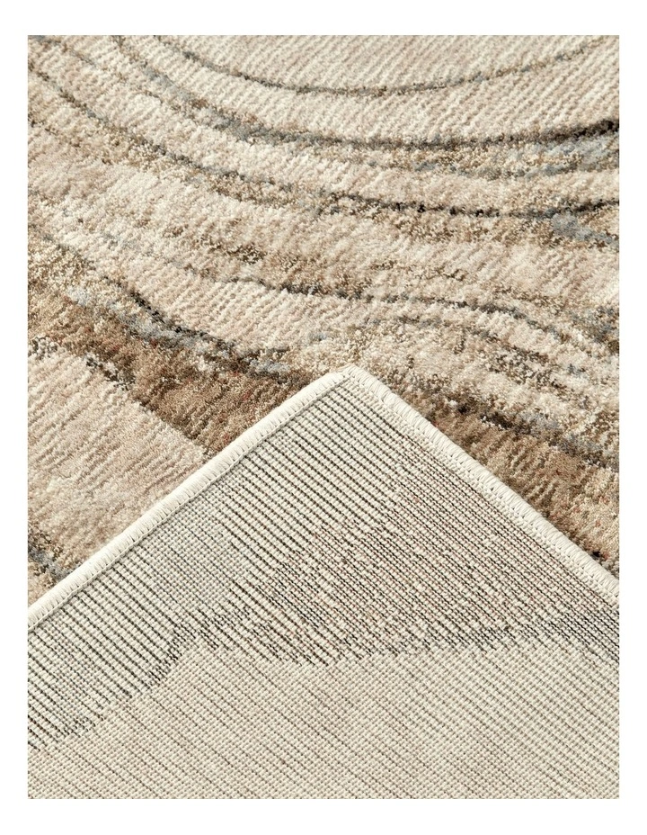 Aston Adell Rug in Multi image 6