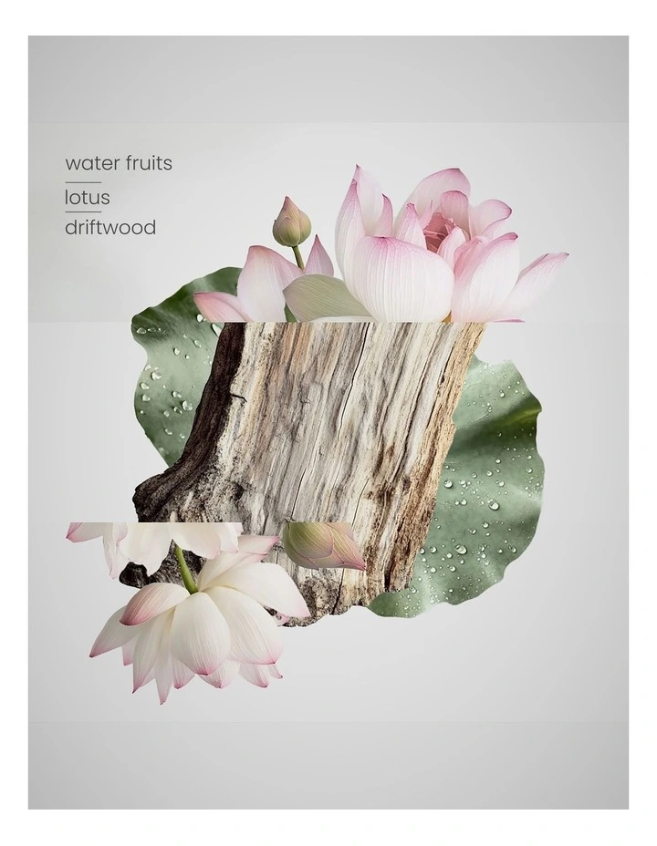 Zen Garden Room Spray 50ml Trio image 5