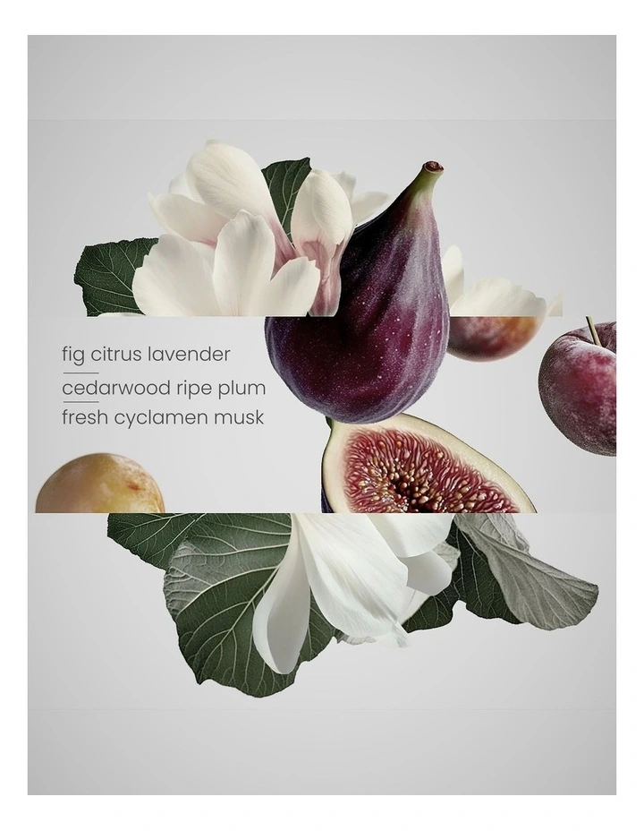 Fig Tree Candle Duo Set 400g image 5