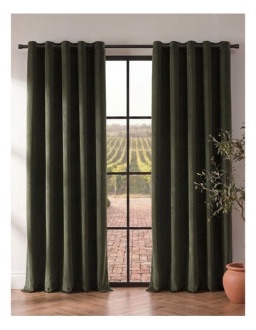 Olive colour