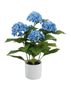 Willow & Silk Potted Artificial Serene Blue Hydrangea 35x35x50cm