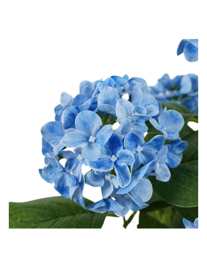 Willow & Silk Potted Artificial Serene Blue Hydrangea 35x35x50cm image 2