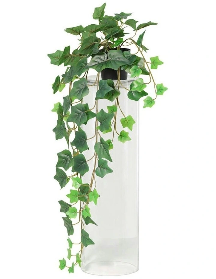 Willow & Silk 70cm Potted Artificial Elegent Hanging Ivy image 2