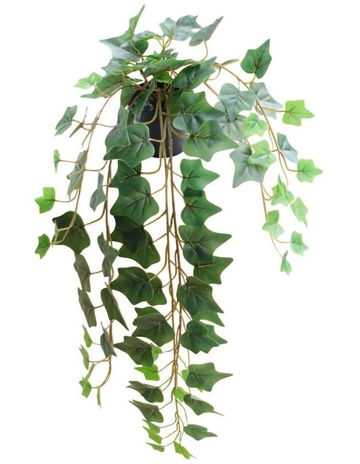 Willow & Silk 70cm Potted Artificial Elegent Hanging Ivy image 4