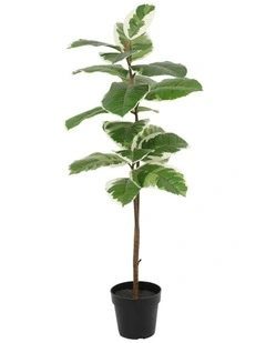 Willow & Silk 118cm Potted Artificial Variegated Rubber Leaf Tree