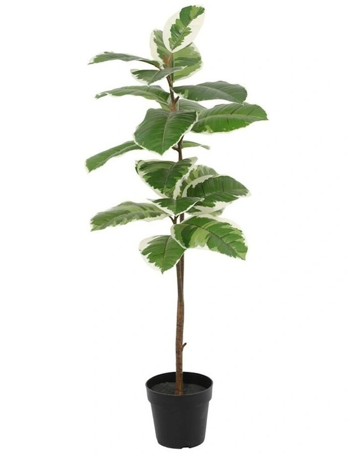 Willow & Silk 118cm Potted Artificial Variegated Rubber Leaf Tree image 1