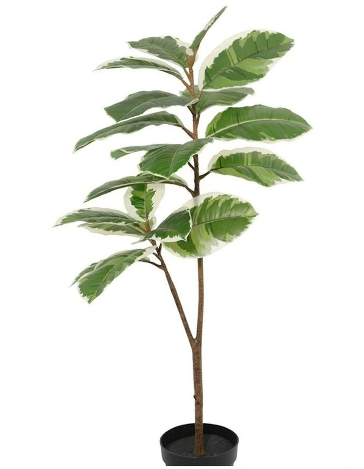 Willow & Silk 118cm Potted Artificial Variegated Rubber Leaf Tree image 2