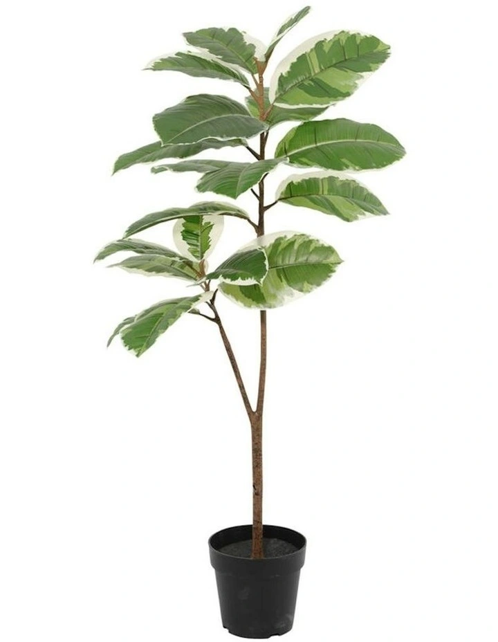 Willow & Silk 118cm Potted Artificial Variegated Rubber Leaf Tree image 3