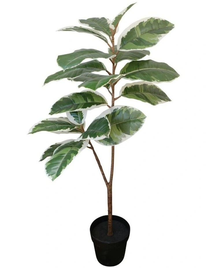 Willow & Silk 118cm Potted Artificial Variegated Rubber Leaf Tree image 4