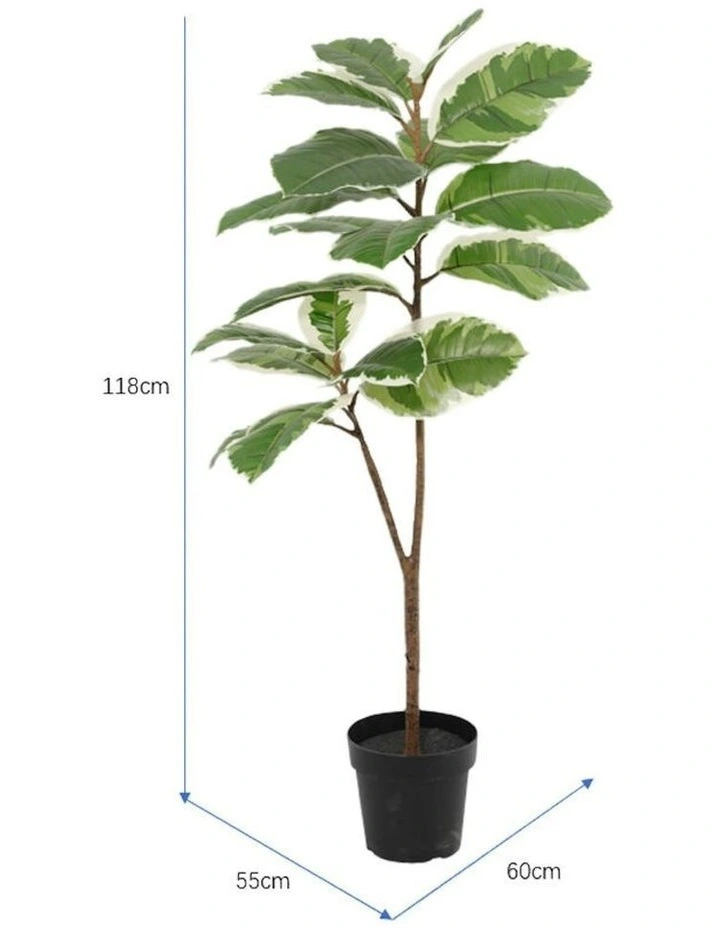 Willow & Silk 118cm Potted Artificial Variegated Rubber Leaf Tree image 5