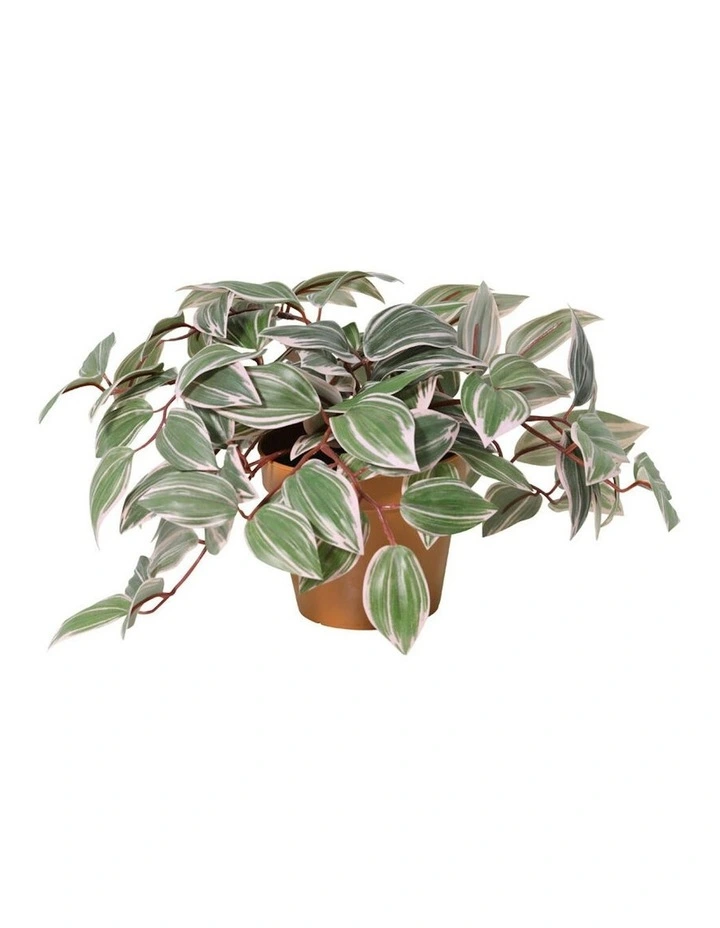 Willow & Silk 25cm Potted Artificial Wandering Dude Plant image 1