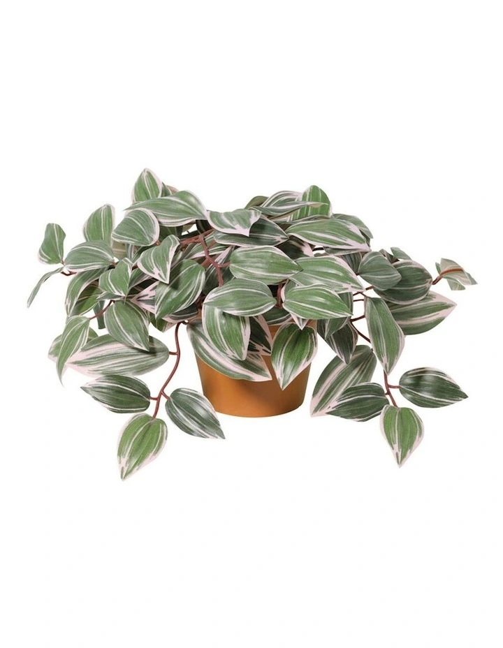 Willow & Silk 25cm Potted Artificial Wandering Dude Plant image 2