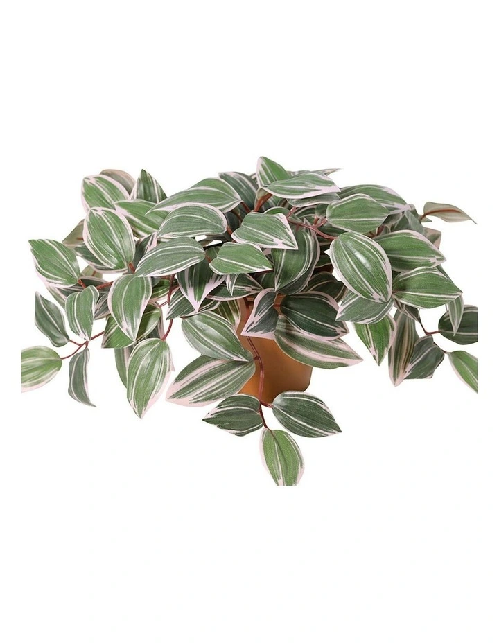 Willow & Silk 25cm Potted Artificial Wandering Dude Plant image 3