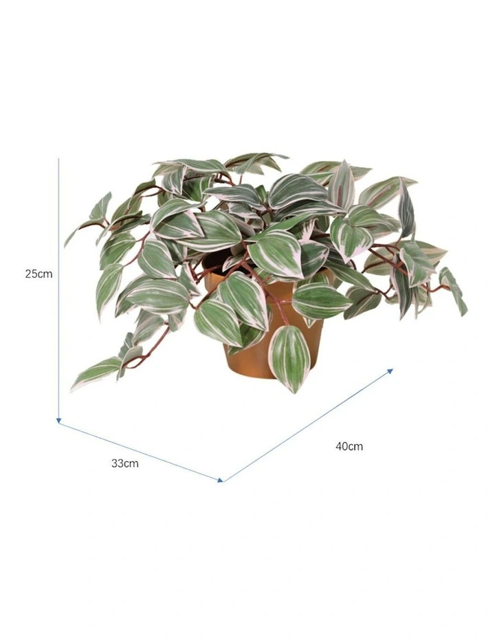 Willow & Silk 25cm Potted Artificial Wandering Dude Plant image 5
