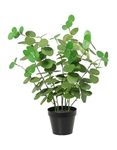 Willow & Silk 48cm Potted Artificial Leafy Serenity Eucalyptus