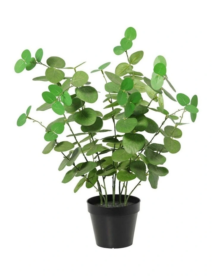 Willow & Silk 48cm Potted Artificial Leafy Serenity Eucalyptus image 1