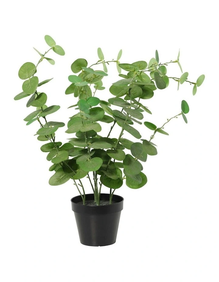 Willow & Silk 48cm Potted Artificial Leafy Serenity Eucalyptus image 2