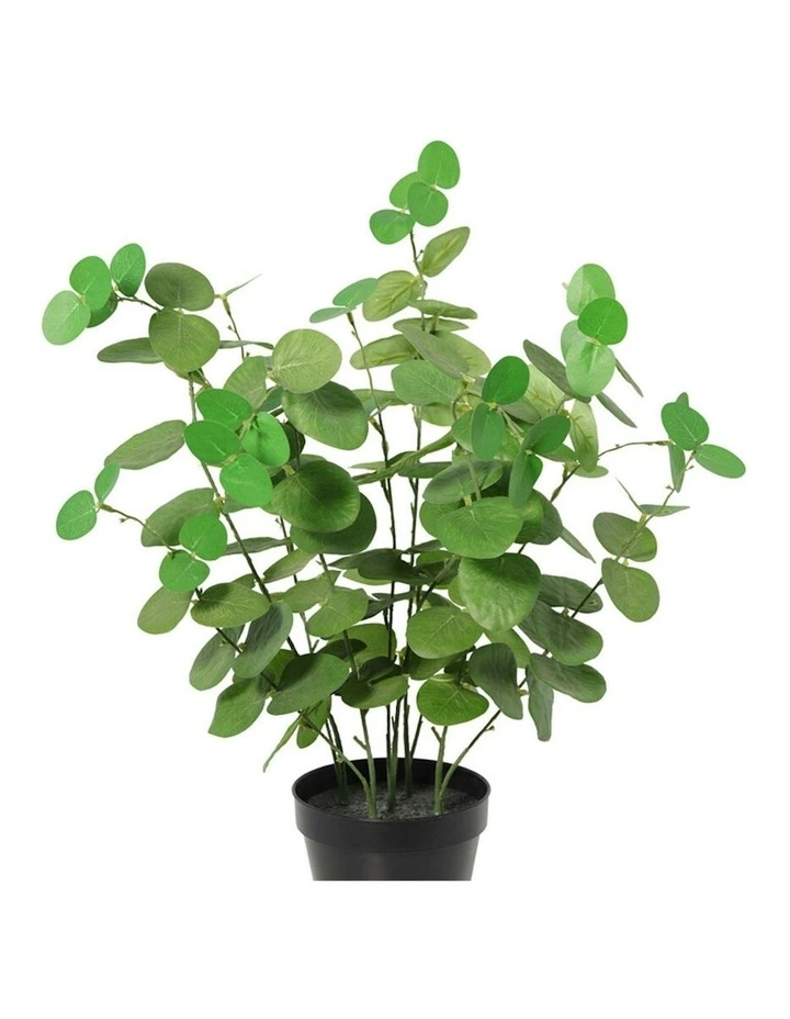 Willow & Silk 48cm Potted Artificial Leafy Serenity Eucalyptus image 3