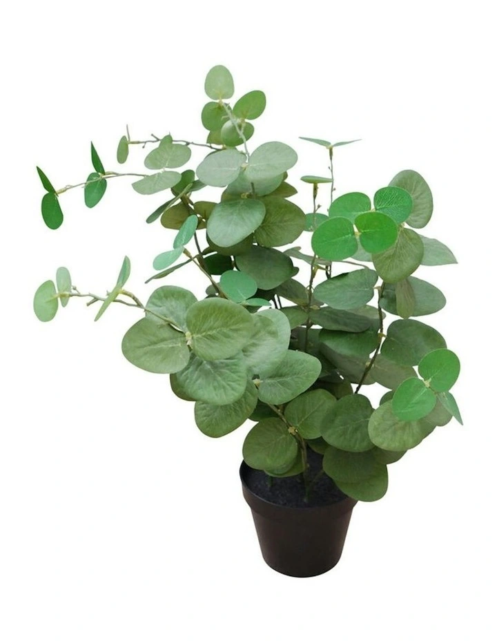 Willow & Silk 48cm Potted Artificial Leafy Serenity Eucalyptus image 4