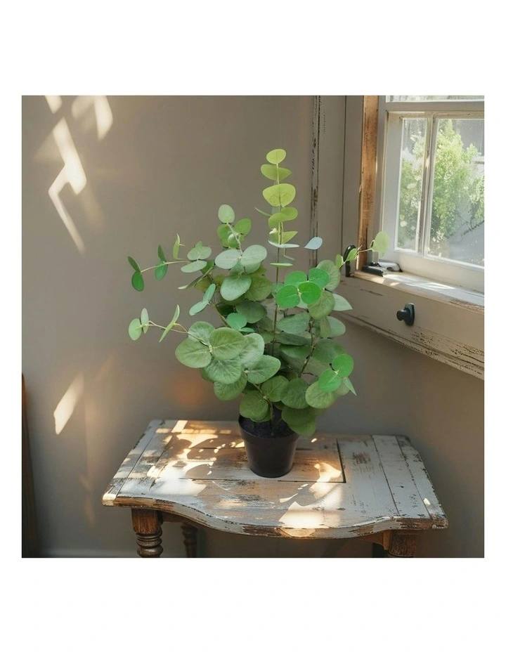 Willow & Silk 48cm Potted Artificial Leafy Serenity Eucalyptus image 7