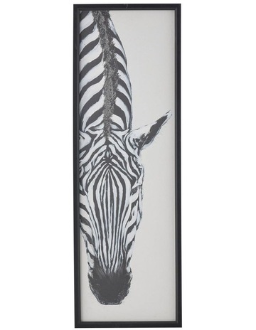 White/Black colour