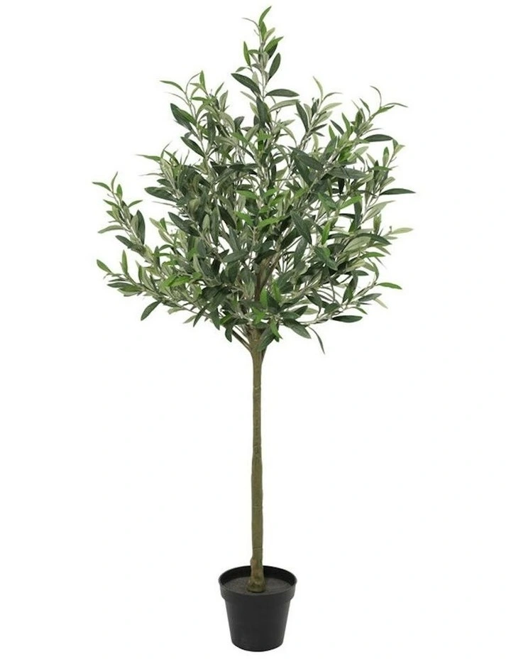 Willow & Silk 120cm Potted Artificial Swan Hill Olive Tree image 3