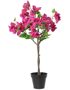 Willow & Silk 66cm Potted Artificial Pink Blossom Bougainvillea