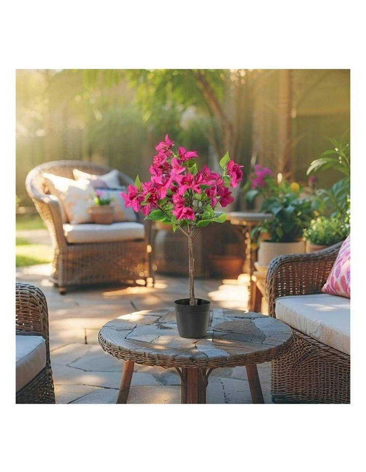 Willow & Silk 66cm Potted Artificial Pink Blossom Bougainvillea image 6