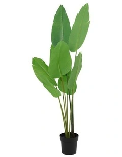 Willow & Silk 153cm Potted Artificial Strelitzia Bird of Paradise Tree