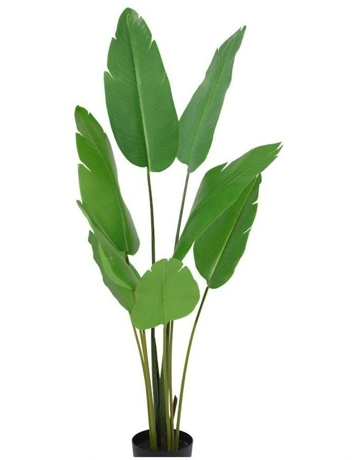 Willow & Silk 153cm Potted Artificial Strelitzia Bird of Paradise Tree image 2