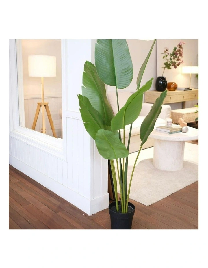 Willow & Silk 153cm Potted Artificial Strelitzia Bird of Paradise Tree image 3