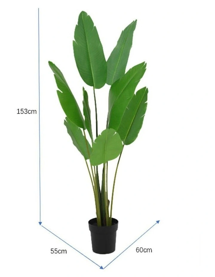 Willow & Silk 153cm Potted Artificial Strelitzia Bird of Paradise Tree image 4