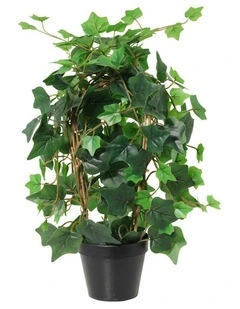 Willow & Silk 43cm Potted Artificial Lush Ivy Plant