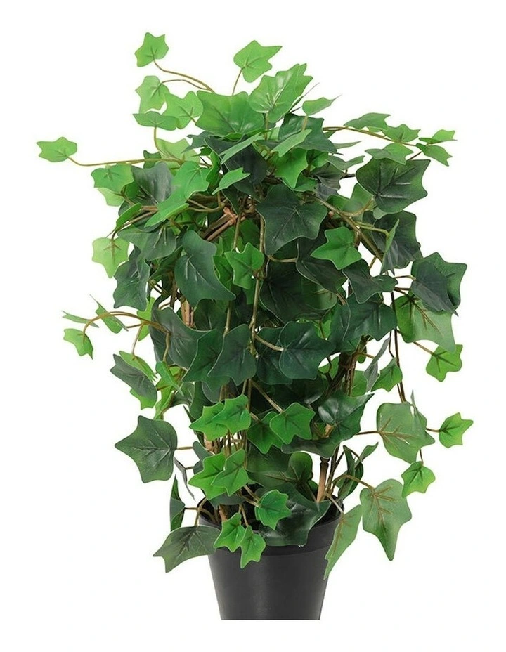Willow & Silk 43cm Potted Artificial Lush Ivy Plant image 2