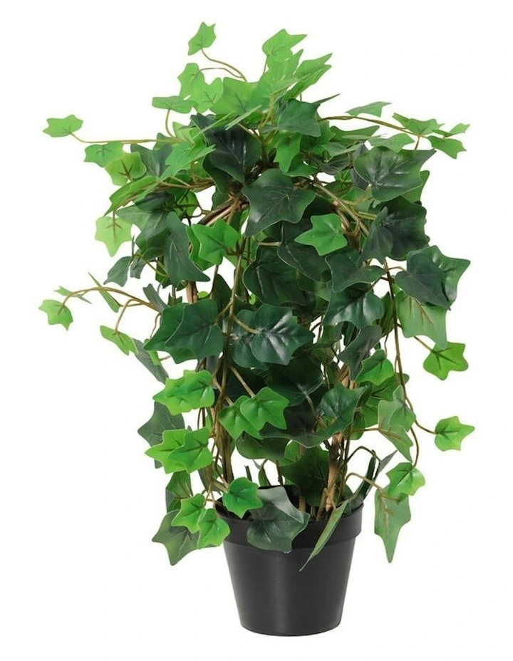 Willow & Silk 43cm Potted Artificial Lush Ivy Plant image 3