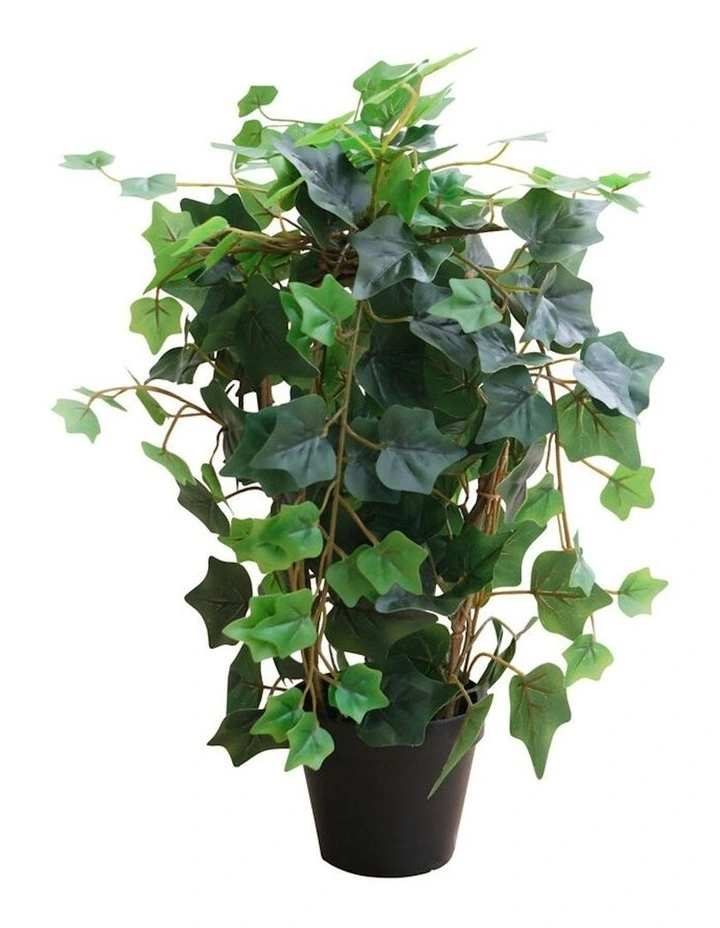 Willow & Silk 43cm Potted Artificial Lush Ivy Plant image 4