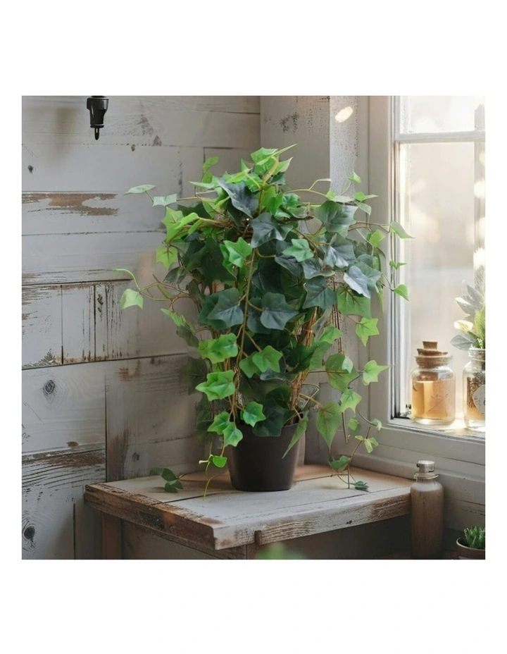 Willow & Silk 43cm Potted Artificial Lush Ivy Plant image 6