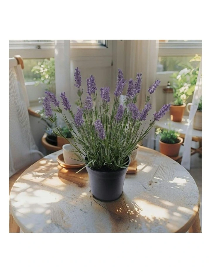 Willow & Silk 40cm Potted Artificial Elegant Lavender Plant image 6