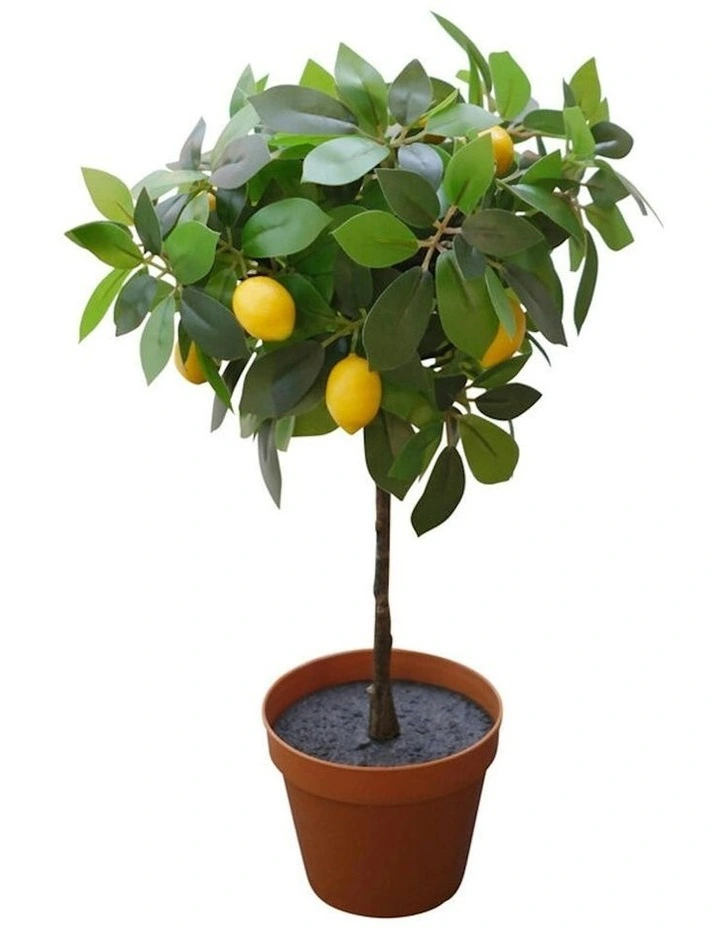 Willow & Silk 43cm Potted Artificial Lemon Tree/Citrus Charm Pottery image 4