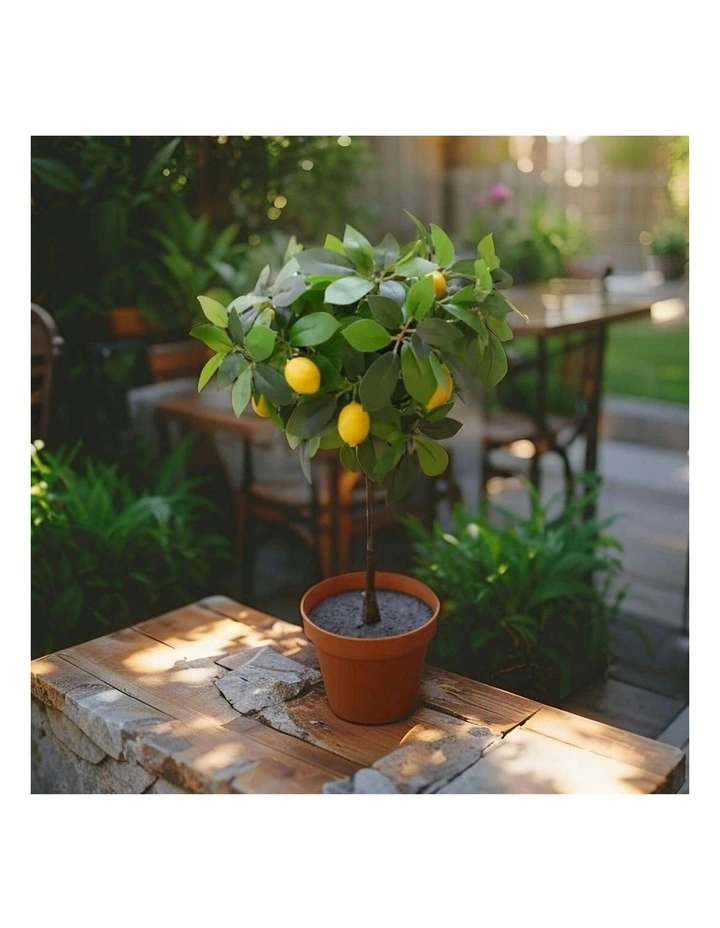 Willow & Silk 43cm Potted Artificial Lemon Tree/Citrus Charm Pottery image 6
